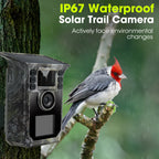 64MP 4K Solar Trail Camera,  with Night Vision & 0.2s Trigger Motion Activated, with 130° field