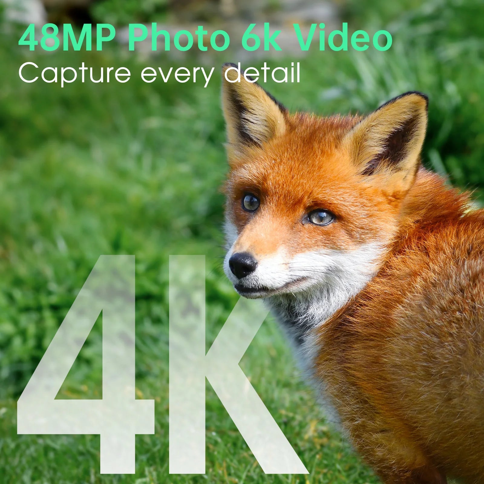 4K Solar Trail Camera, 48MP WiFi Trail Camera with Night Vision 0.2s Trigger Motion Activated, Game Camera with 130° Detec