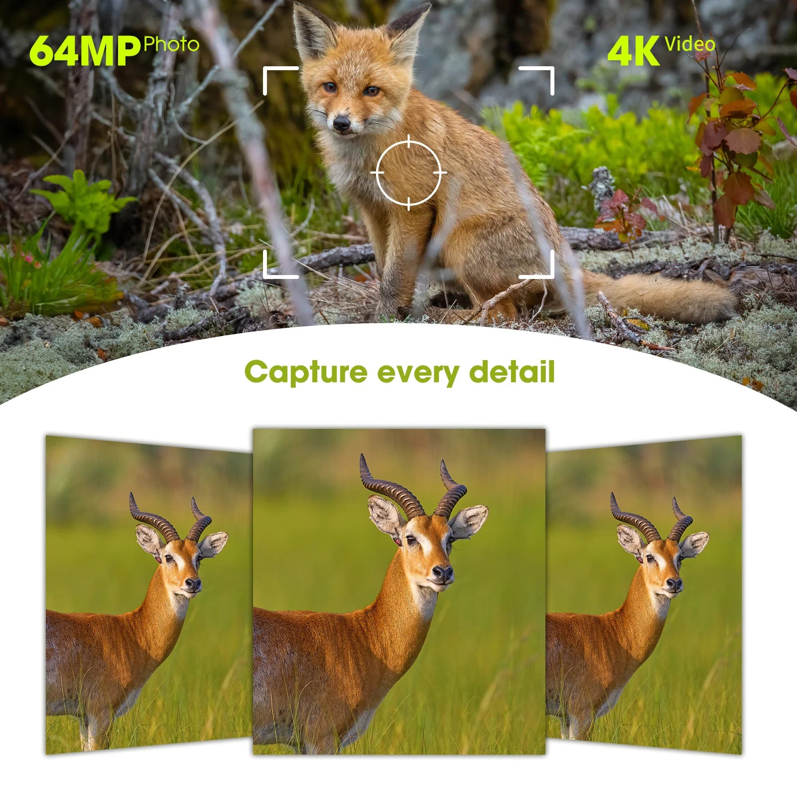 64MP 4K Solar Trail Camera,  with Night Vision & 0.2s Trigger Motion Activated, with 130° field