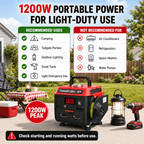 1200W 2-Stroke Generator PS50/DB5010